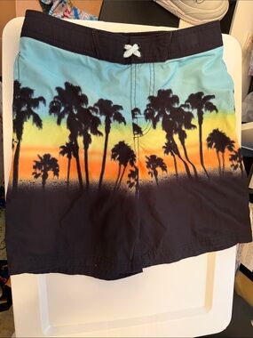 Boys Blue Gradient Palm Print Swim
